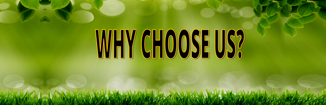 why choose us Concept